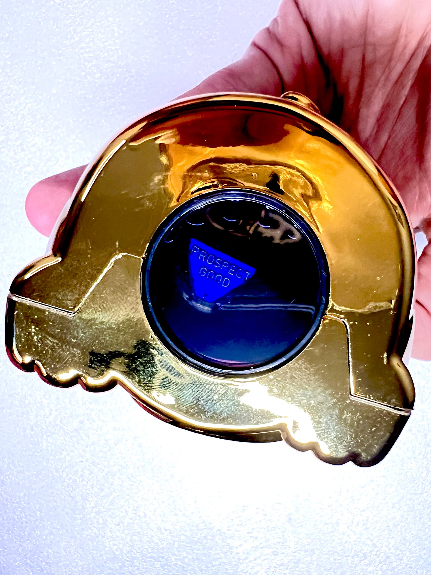 Fortune Kitty - Fortune Teller Toy to Discover Your Destiny - Ask a Question Shake and Get your Answer Inspired by the Magic 8 Ball