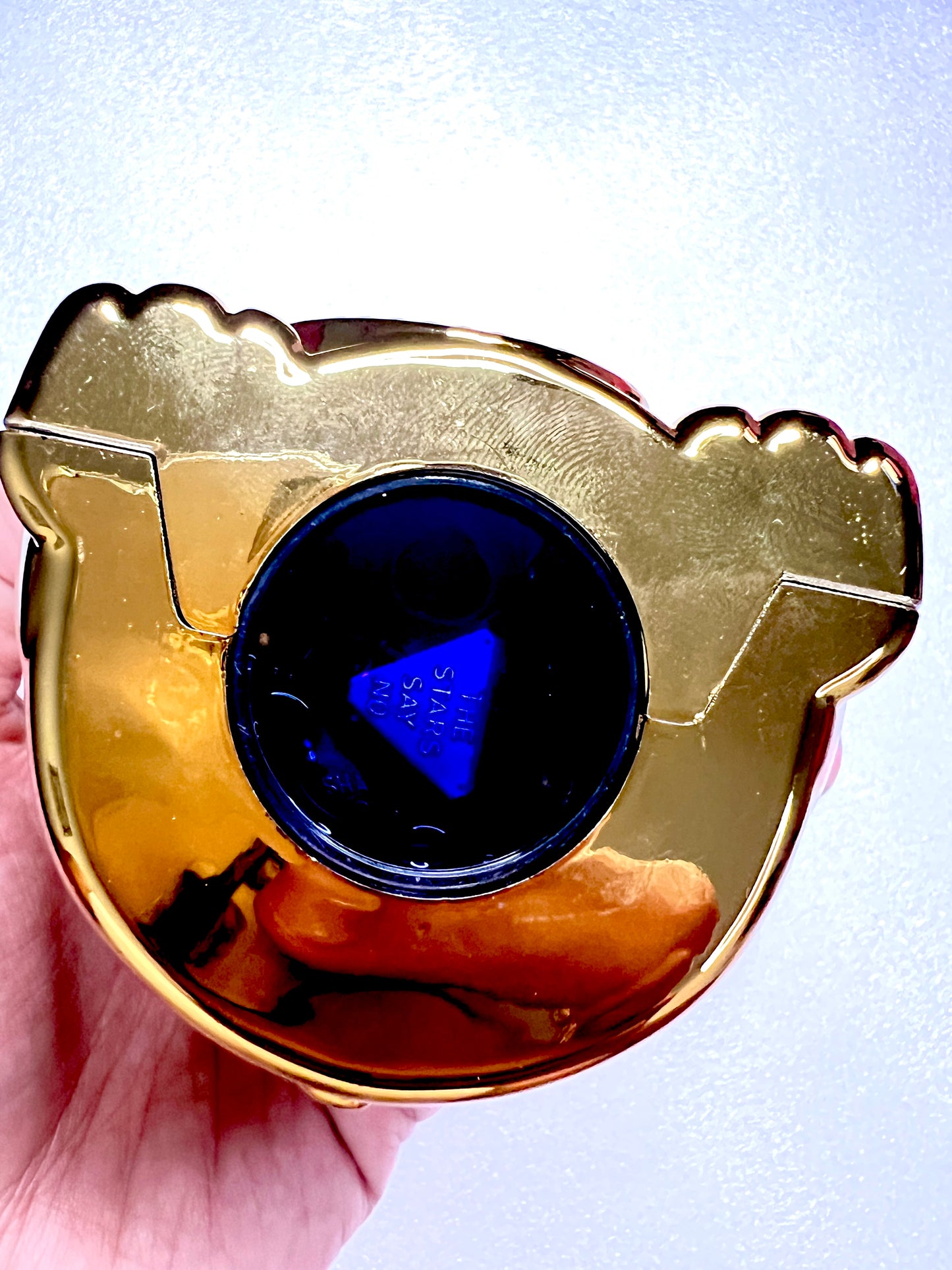 Fortune Kitty - Fortune Teller Toy to Discover Your Destiny - Ask a Question Shake and Get your Answer Inspired by the Magic 8 Ball