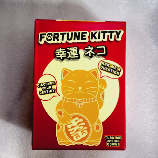 ASMR FORTUNE KITTY Divination fortune teler toy like Magic 8 ball