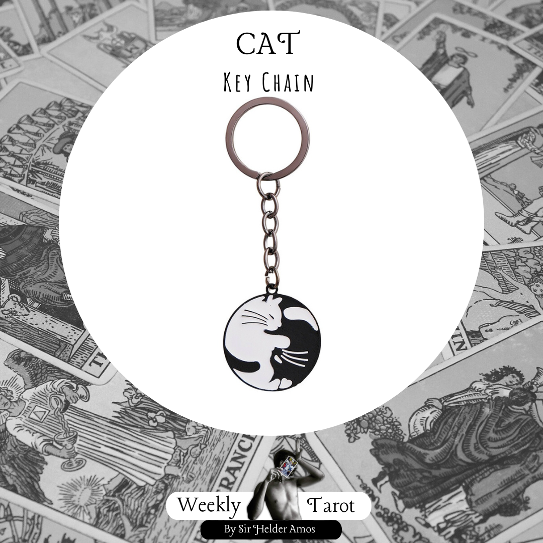 Animal Spirit Yin-Yang Cat Keychain